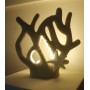 CORALLO LAMPADA LED